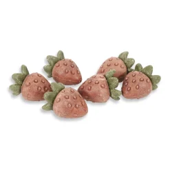 Rosewood Veggie Burst Jordgubbar Smådjursgodis 6-pack