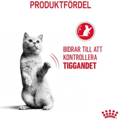 Royal Canin Appetite Control