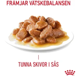 Royal Canin Appetite Control Care Gravy 12x85 g