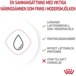 Royal Canin Babycat Milk