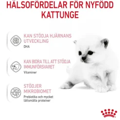 Royal Canin Babycat Milk