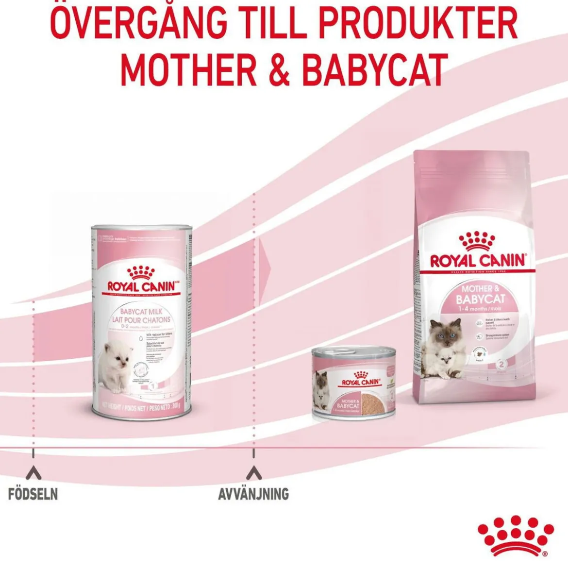 Royal Canin Babycat Milk