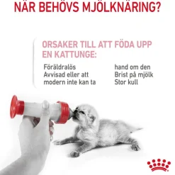 Royal Canin Babycat Milk