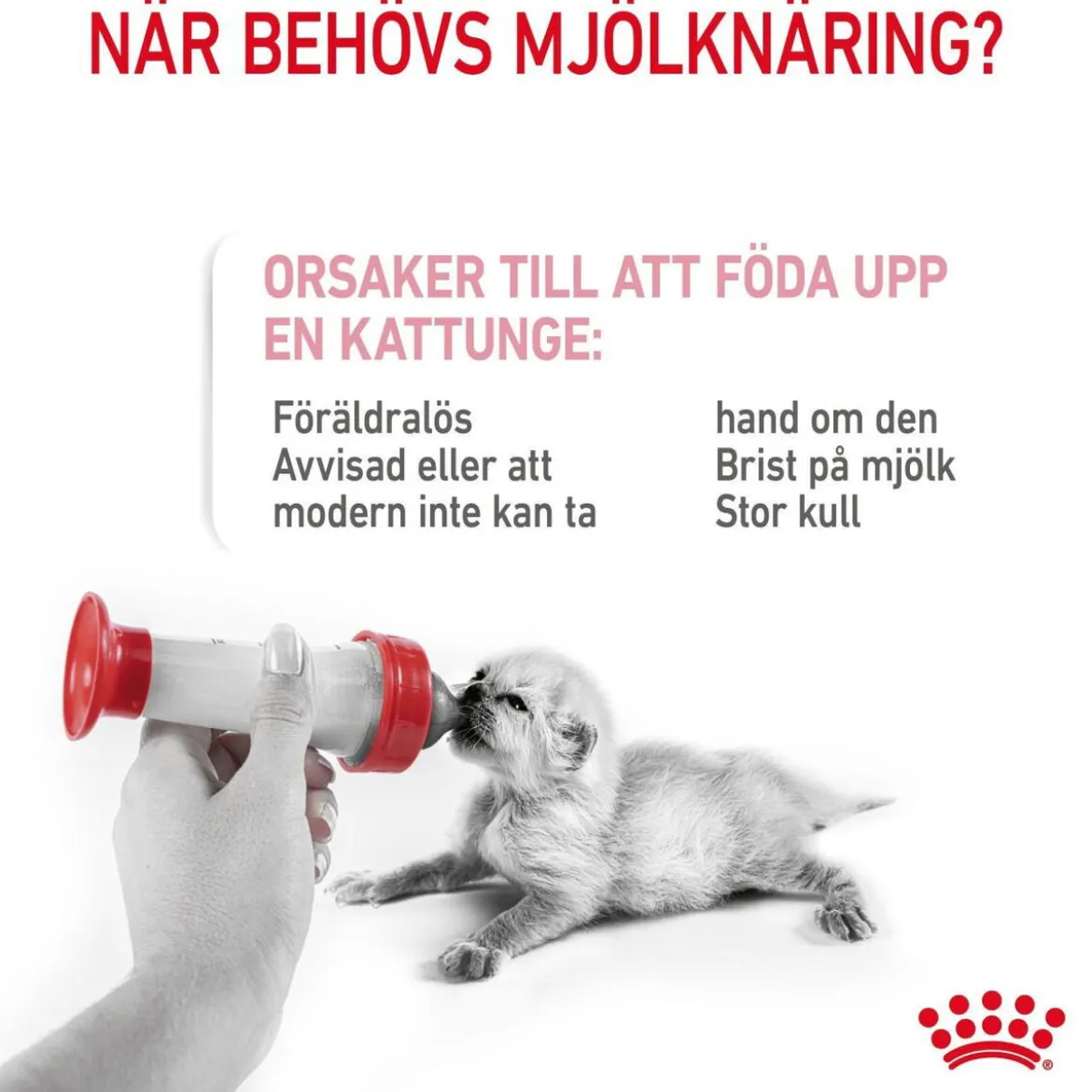Royal Canin Babycat Milk