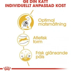 Royal Canin Bengal