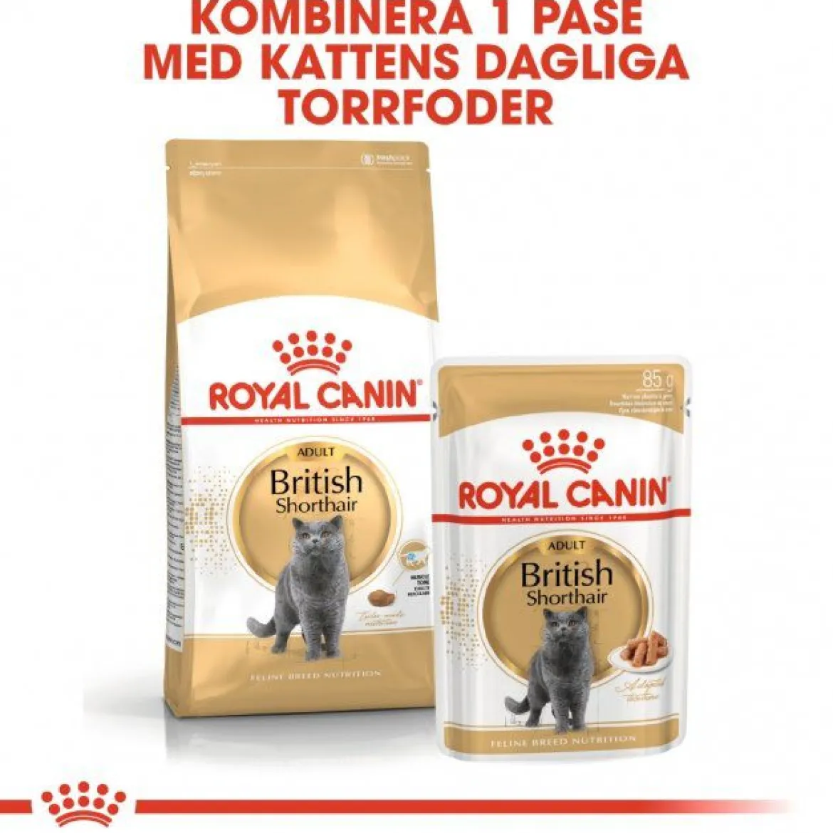 Royal Canin British Shorthair