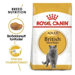Royal Canin British Shorthair