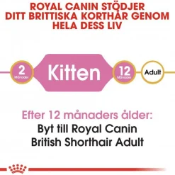 Royal Canin British Shorthair Kitten