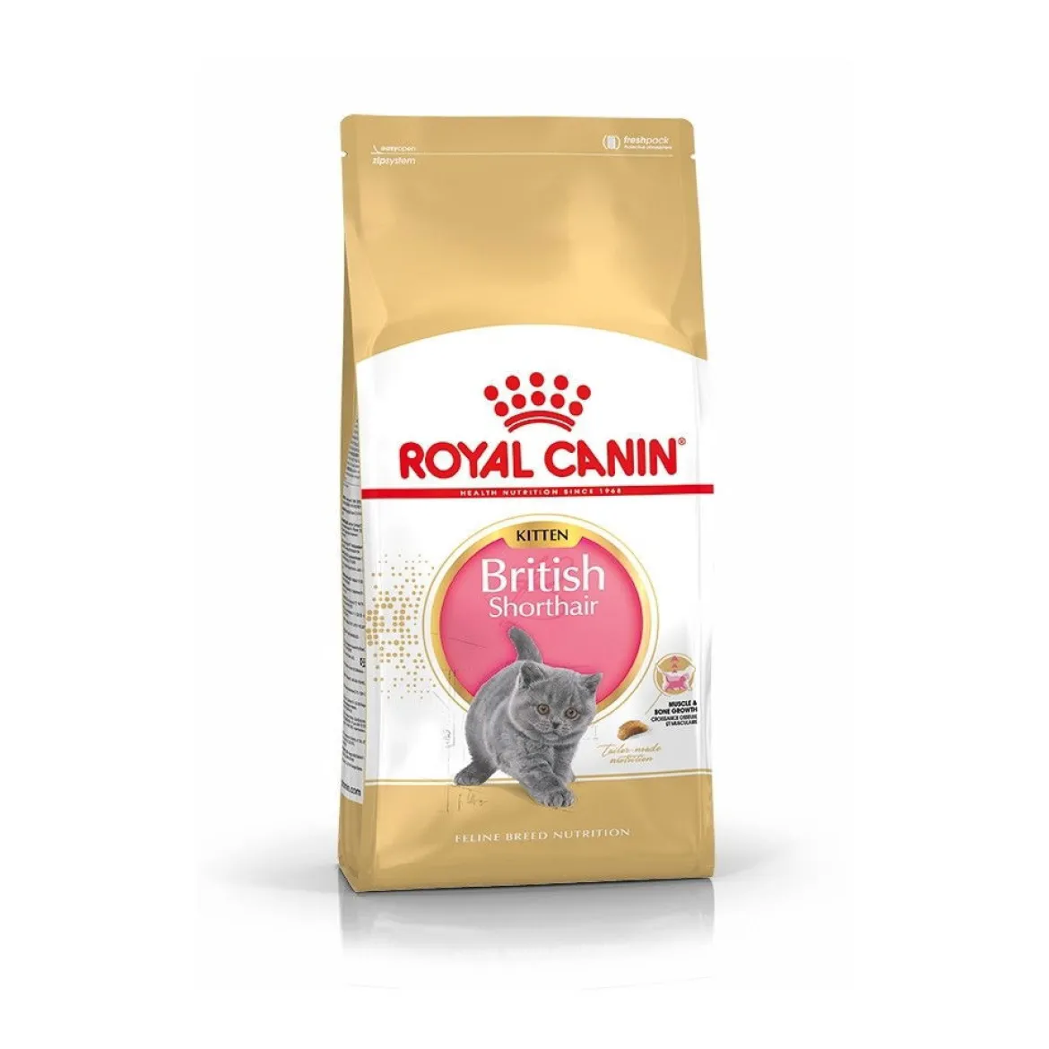 Royal Canin British Shorthair Kitten