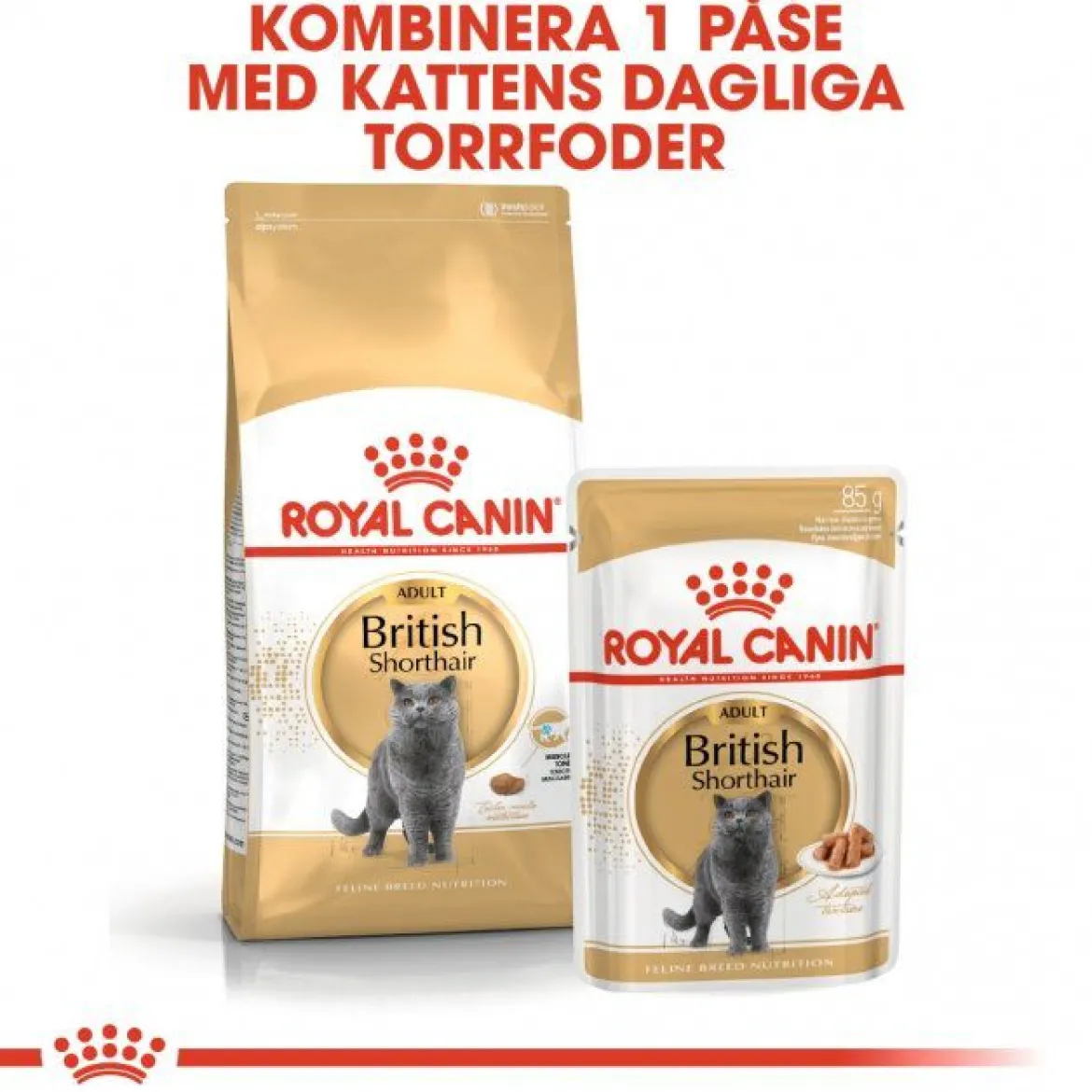 Royal Canin British Shorthair Wet 12x85 g
