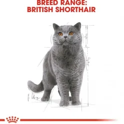 Royal Canin British Shorthair Wet 12x85 g