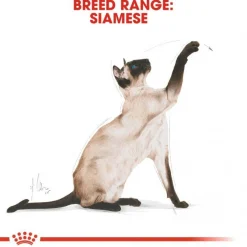 Royal Canin Cat Adult Siamese
