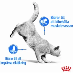 Royal Canin Cat Light Weight Care Gravy 12 x 85 g