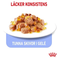 Royal Canin Cat Light Weight Care Jelly Våtfoder (12x85g)