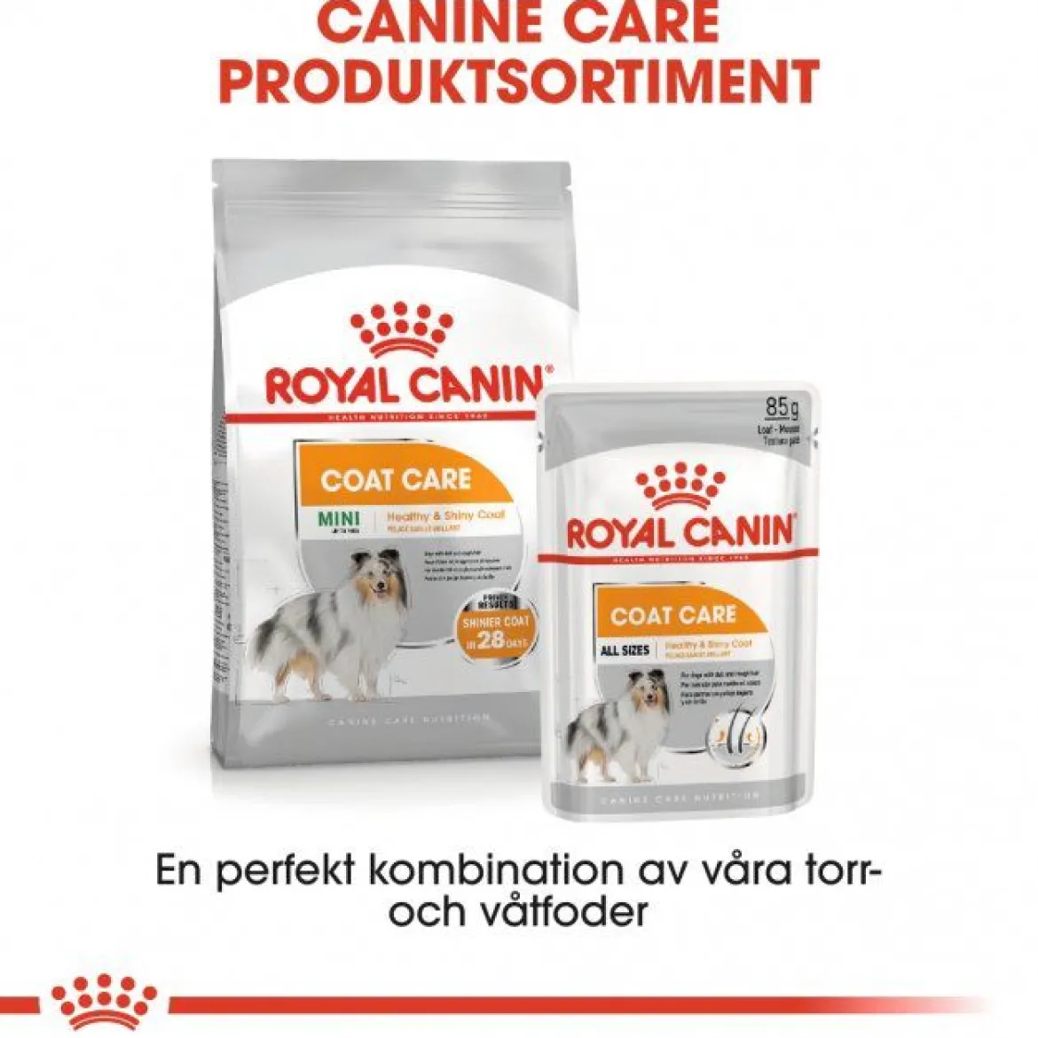 Royal Canin Coat Care Adult 12x85 g