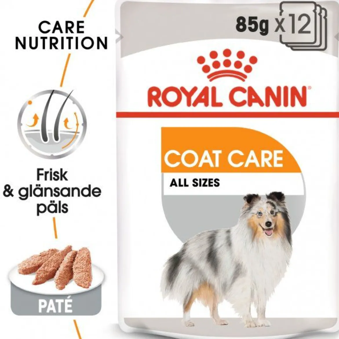 Royal Canin Coat Care Adult 12x85 g