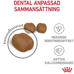 Royal Canin Dental Care