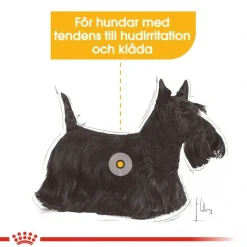Royal Canin Dermacomfort Adult 12x85 g