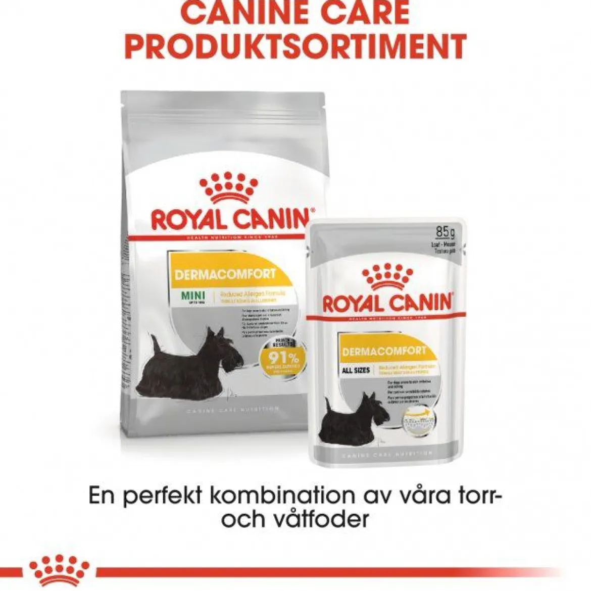 Royal Canin Dermacomfort Adult 12x85 g