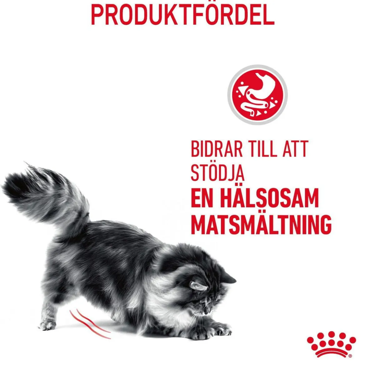 Royal Canin Digestive Care