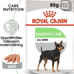 Royal Canin Digestive Care Adult 12x85 g