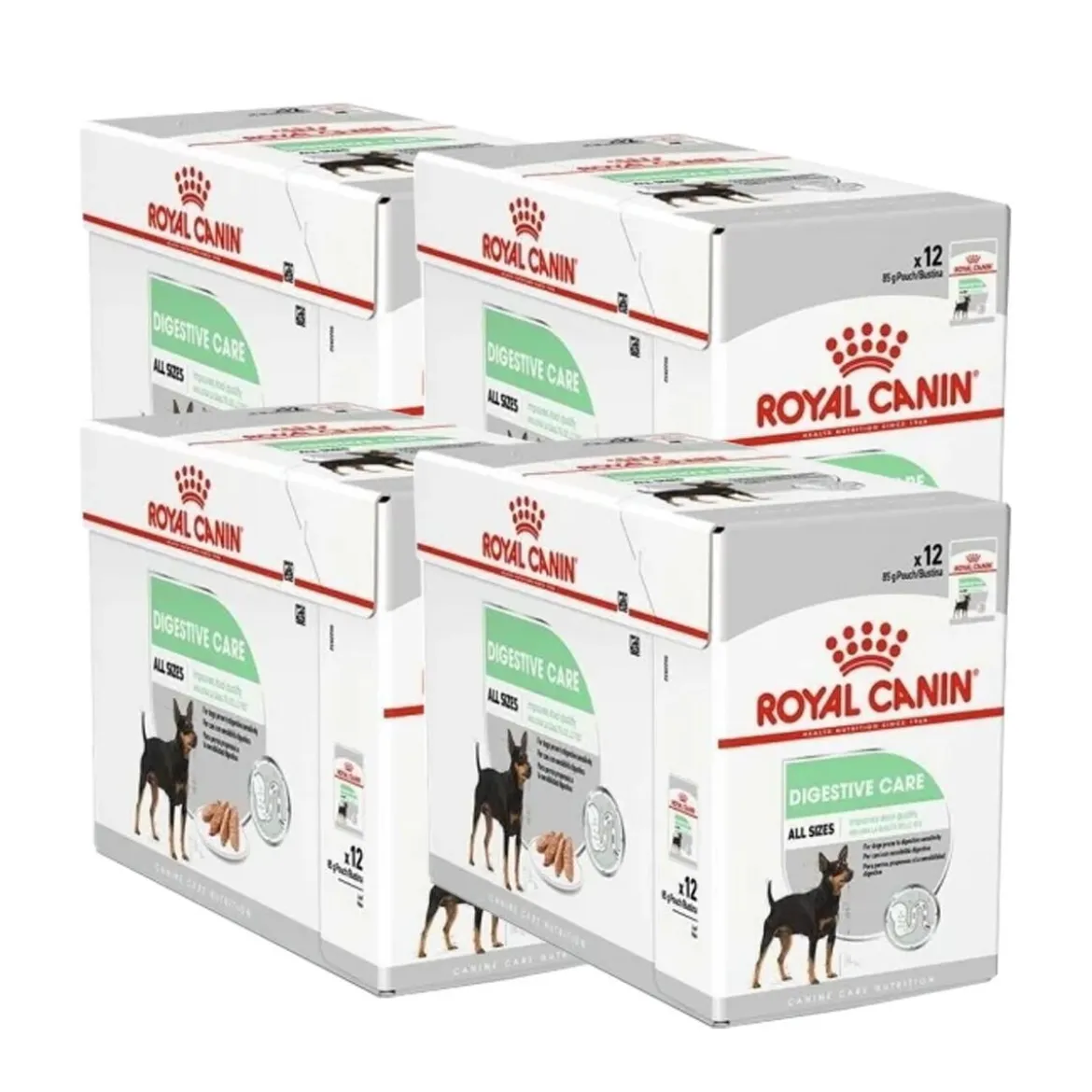 Royal Canin Digestive Care wet 48x85 g