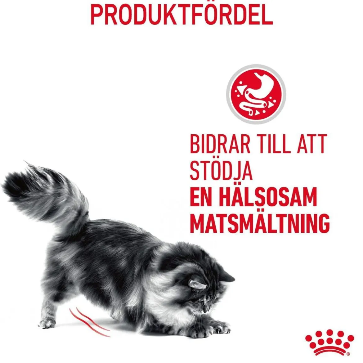 Royal Canin Digest Sensitive Våtfoder (12x85g)