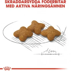 Royal Canin Dog Adult Sterilised X-Small
