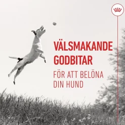 Royal Canin Dog Träningsgodis 110 g