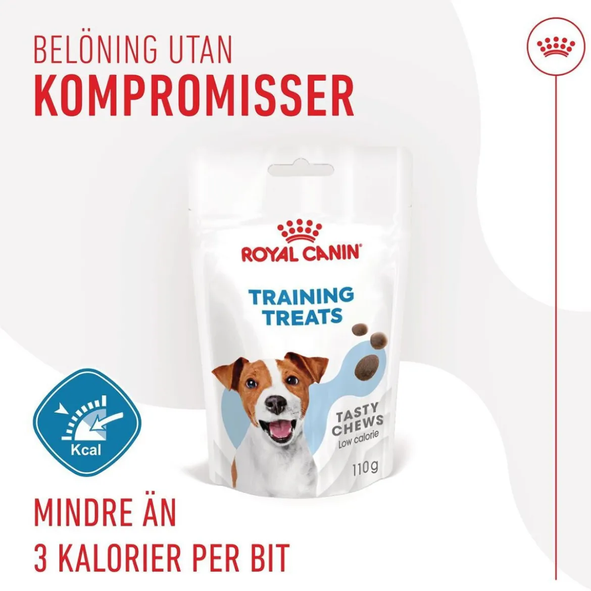 Royal Canin Dog Träningsgodis 110 g