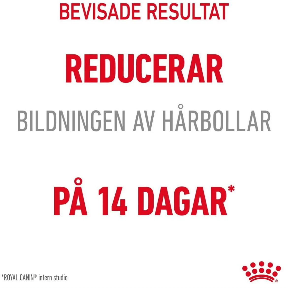 Royal Canin Hairball Care