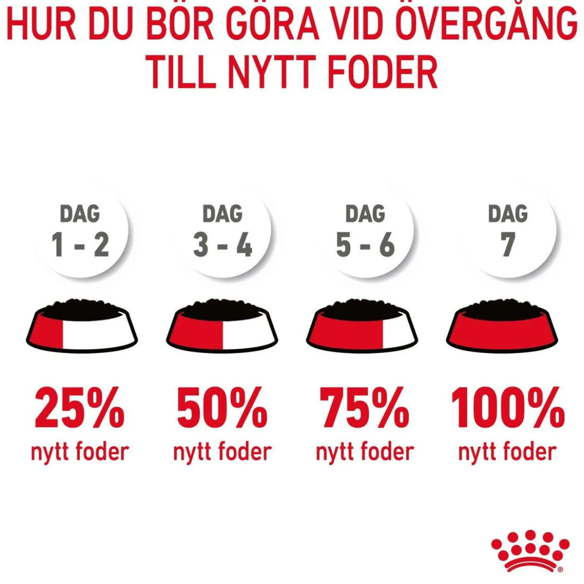 Royal Canin Hair & Skin Care Gravy 12 x 85 g