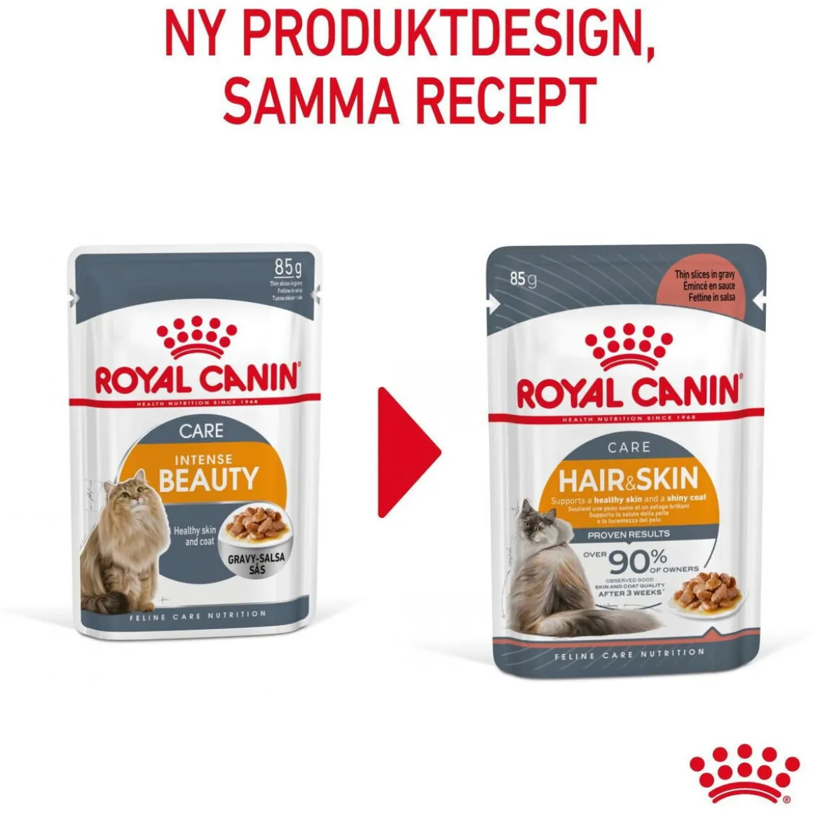 Royal Canin Hair & Skin Care Gravy 12 x 85 g