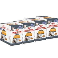 Royal Canin Hair & Skin Care Gravy 85g, 48-pack