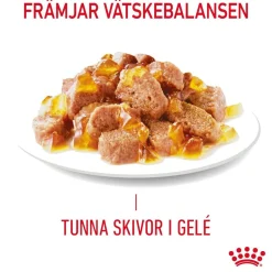 Royal Canin Hair & Skin Care Jelly 12 x 85 g