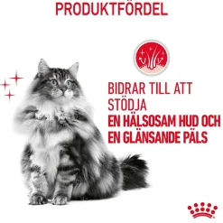 Royal Canin Hair & Skin Care Jelly 12 x 85 g