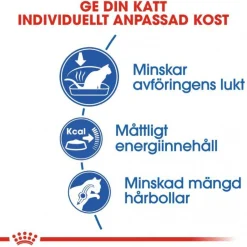 Royal Canin Indoor 27