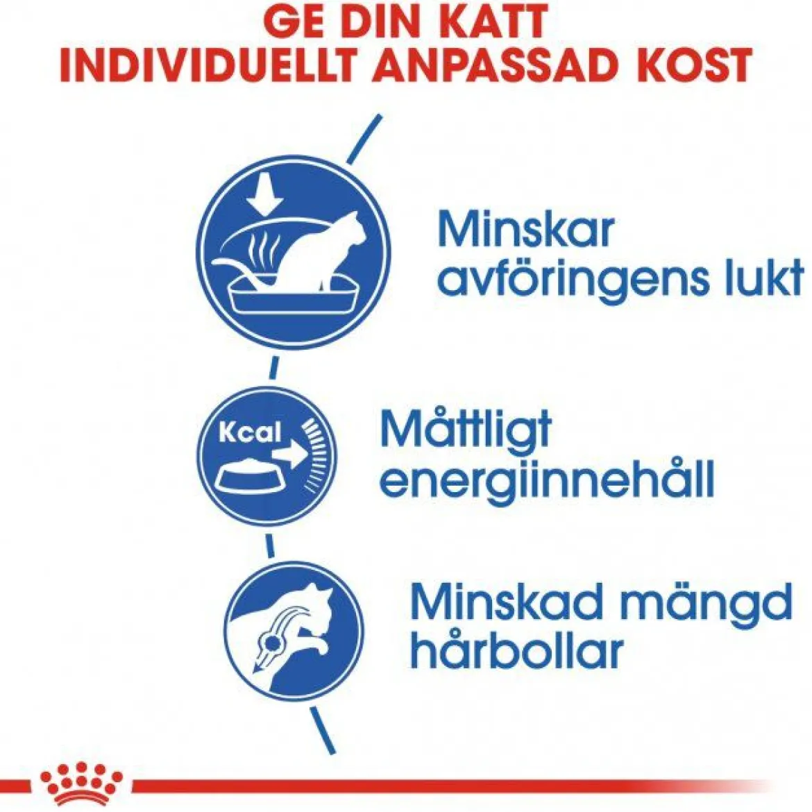 Royal Canin Indoor 27