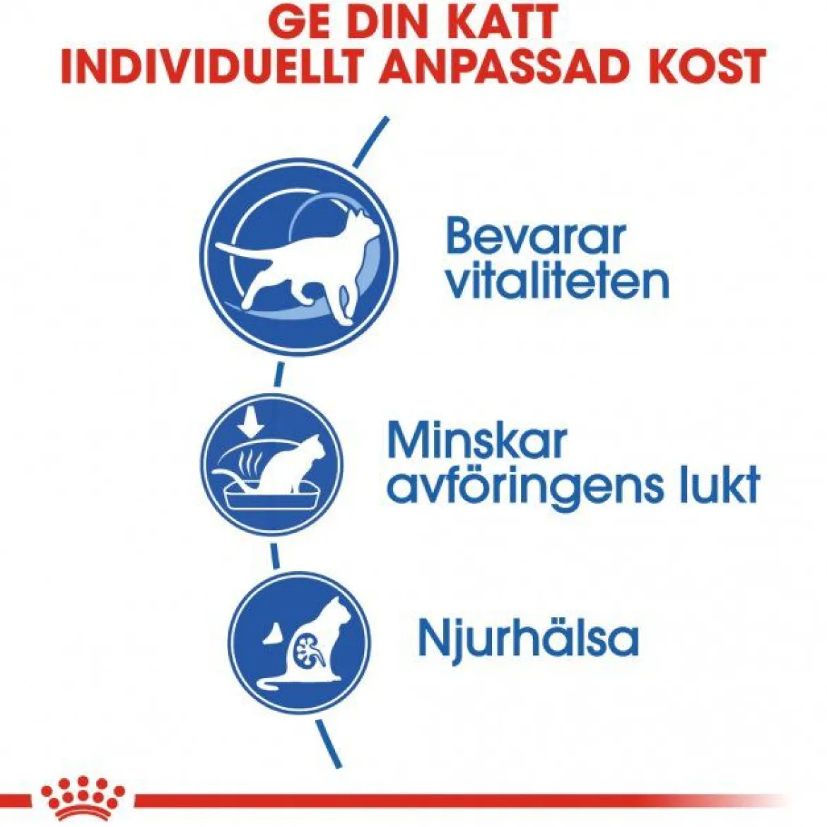 Royal Canin Indoor +7
