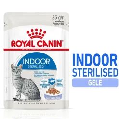 Royal Canin Indoor in Jelly Adult 12x85 g