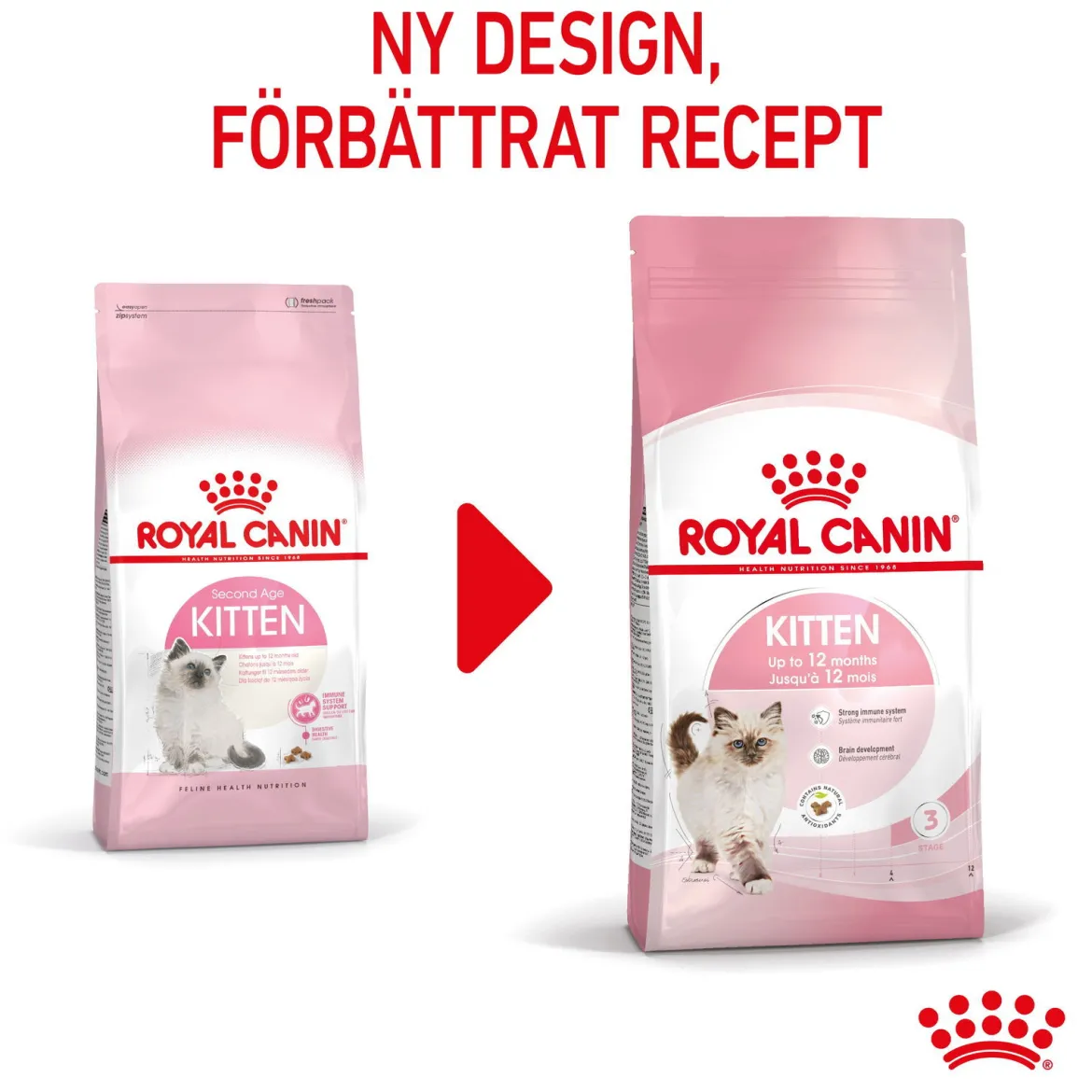 Royal Canin Kitten