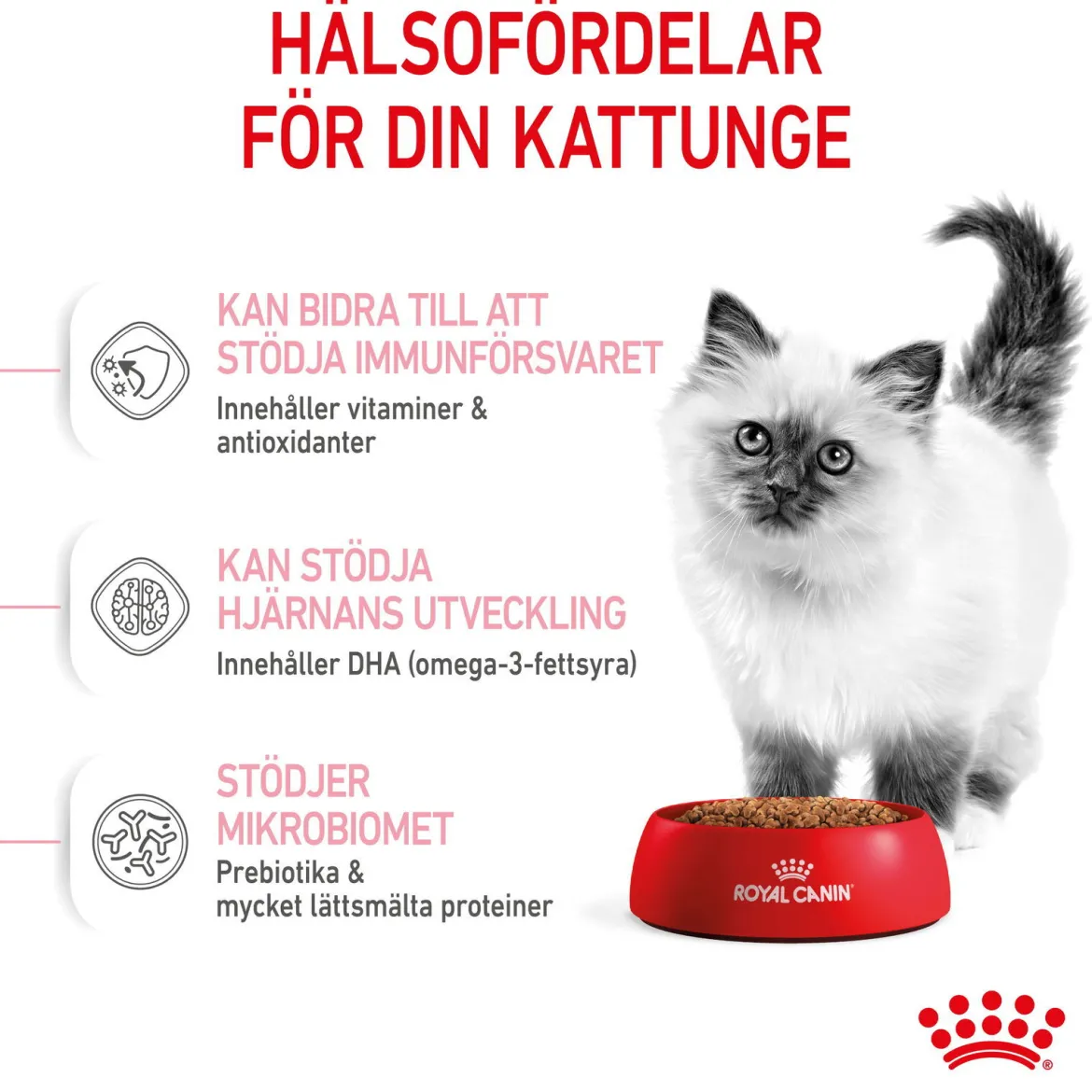 Royal Canin Kitten