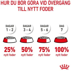 Royal Canin Kitten