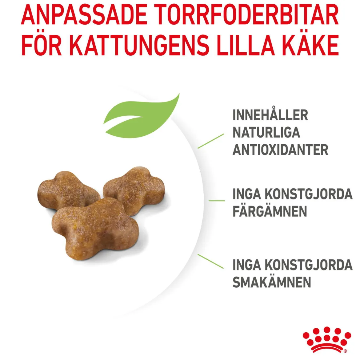 Royal Canin Kitten