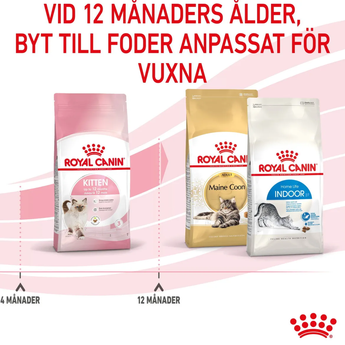 Royal Canin Kitten