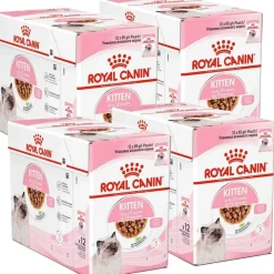 Royal Canin Kitten Gravy 85g, 48-pack