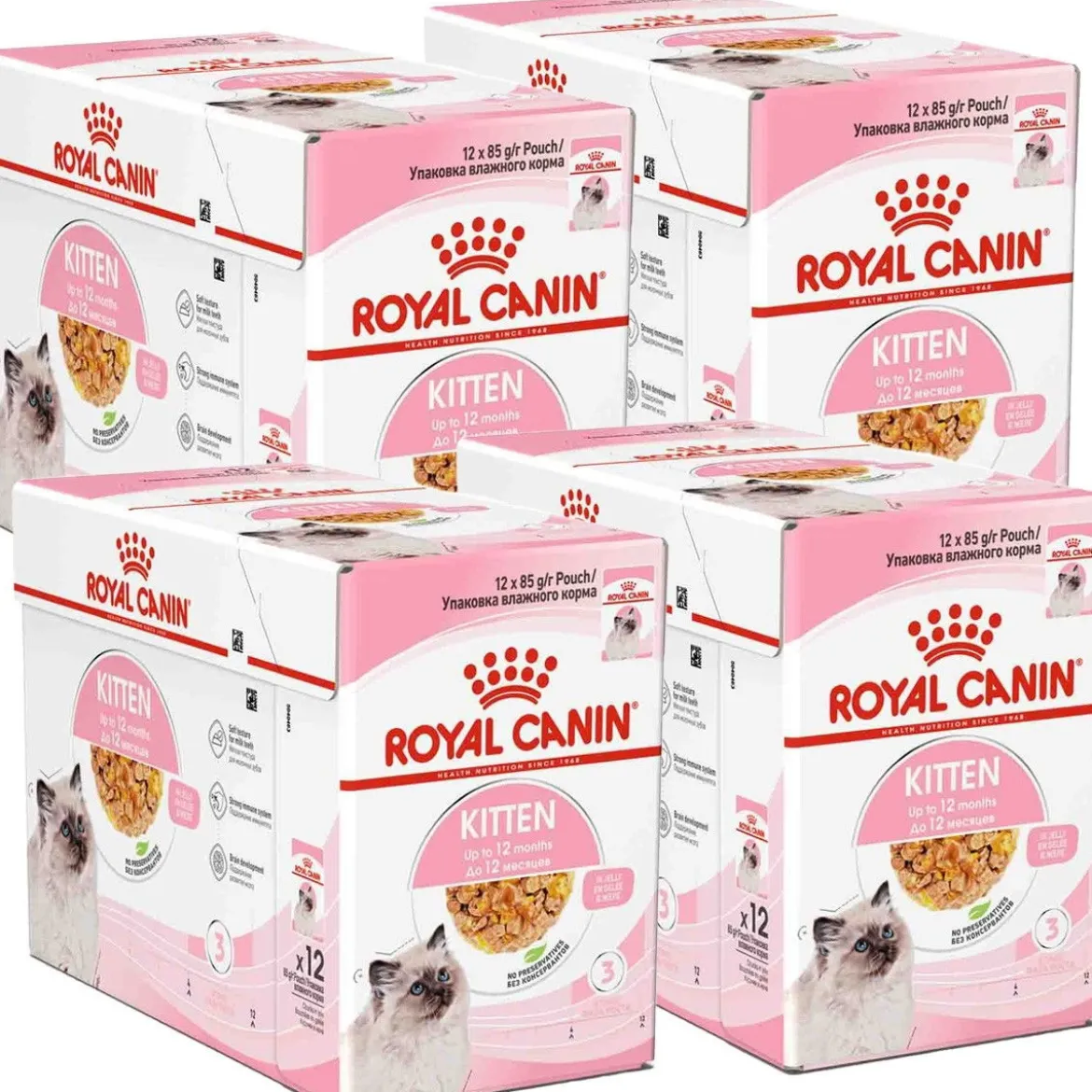 Royal Canin Kitten Jelly 85g, 48-pack