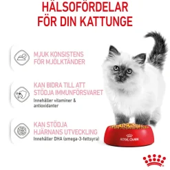 Royal Canin Kitten Jelly 12x85 g