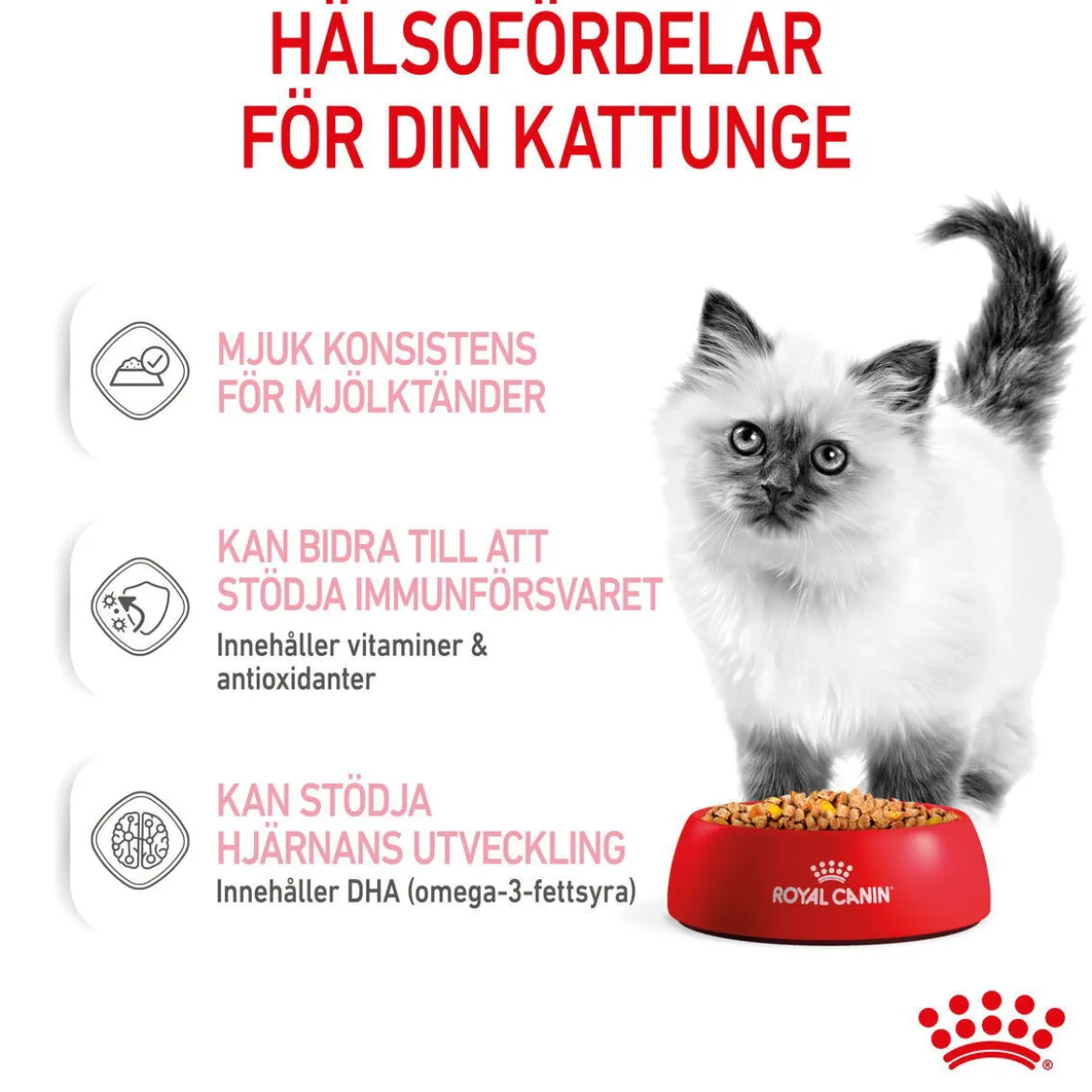 Royal Canin Kitten Jelly 12x85 g