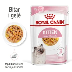 Royal Canin Kitten Jelly 12x85 g